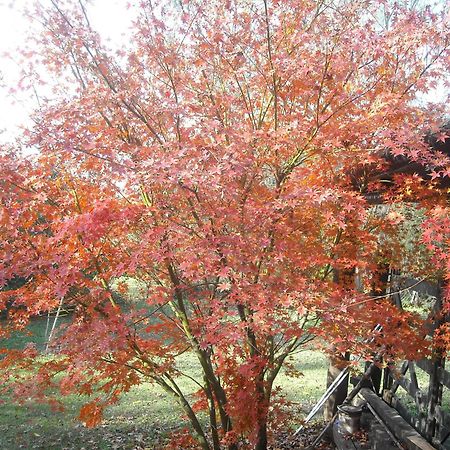 皮拉尔薰衣草山林小屋 外观 照片