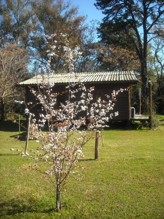 皮拉尔薰衣草山林小屋 外观 照片