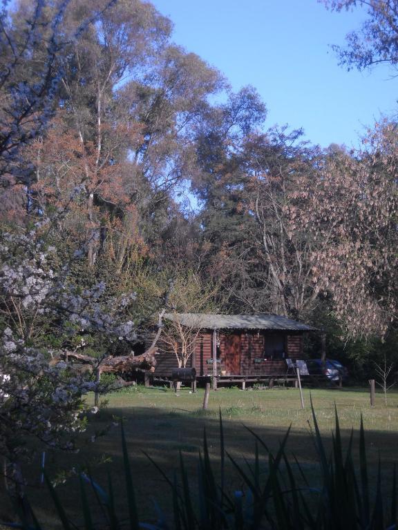 皮拉尔薰衣草山林小屋 客房 照片