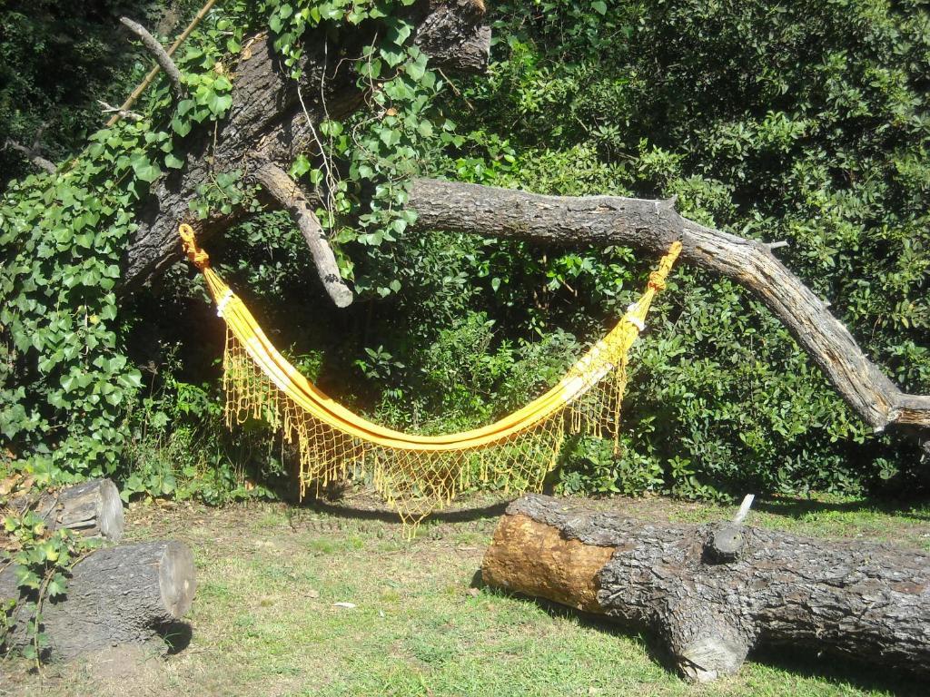 皮拉尔薰衣草山林小屋 客房 照片